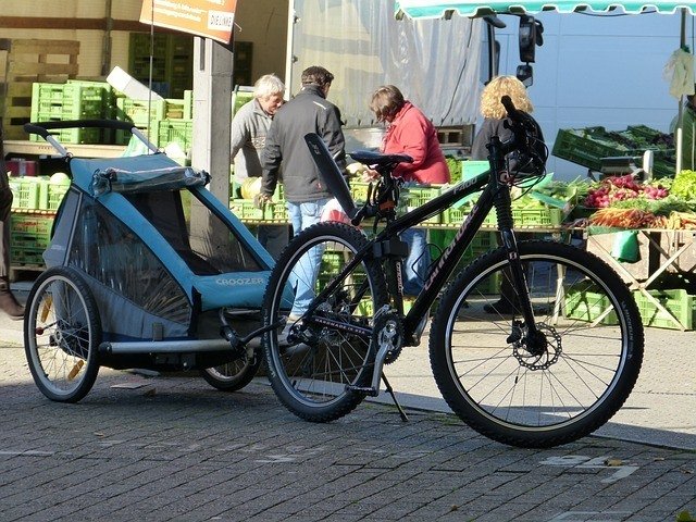 Bike Trailer For Large Dogs With A Universal Hitch For All Bikes